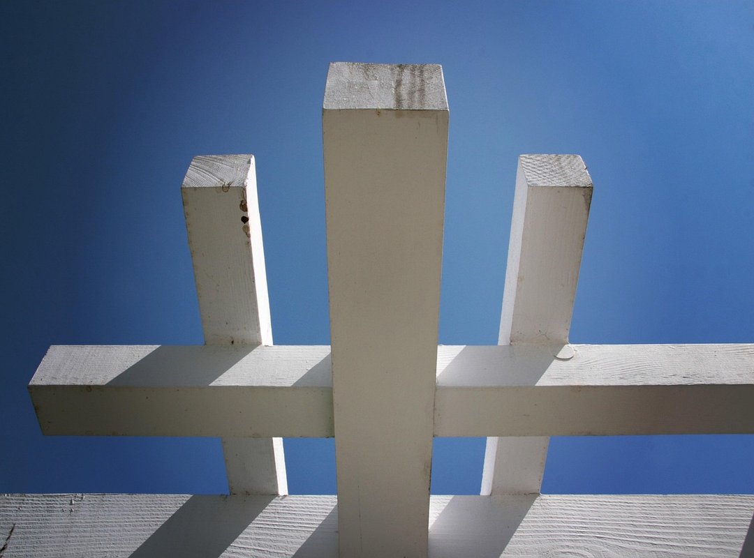 Backyard Renovation Decoradyard