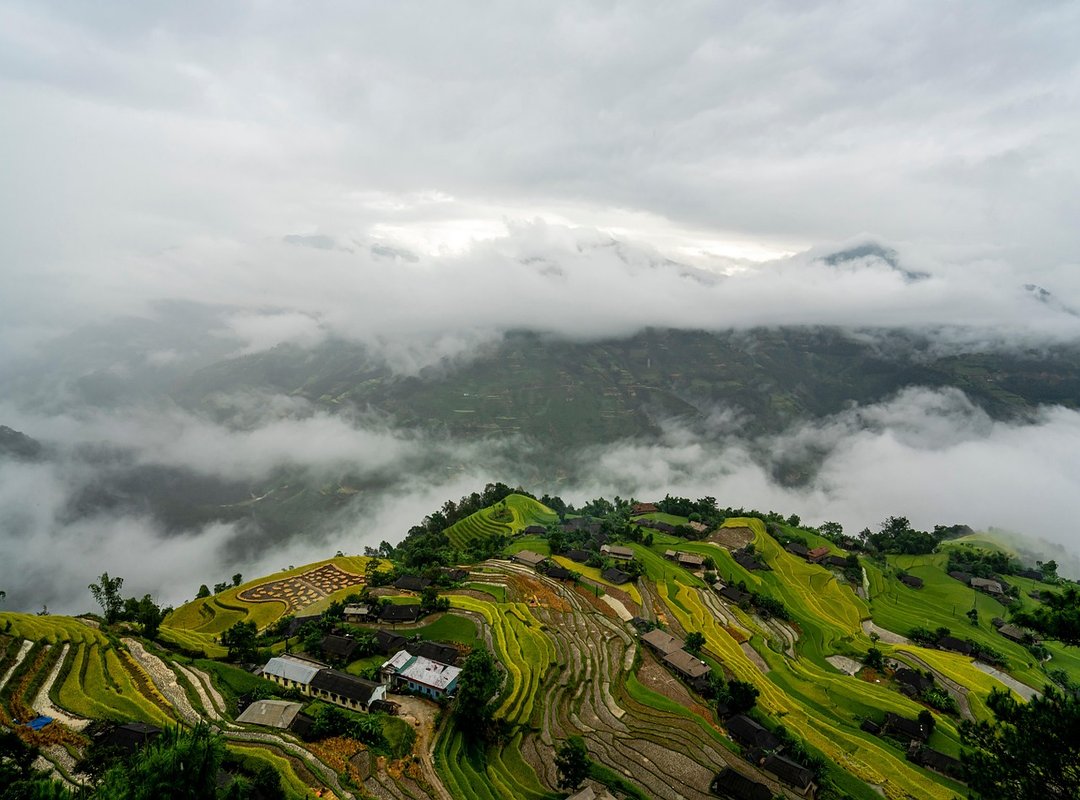 Decoradyard Garden Tips by Decoratoradvice