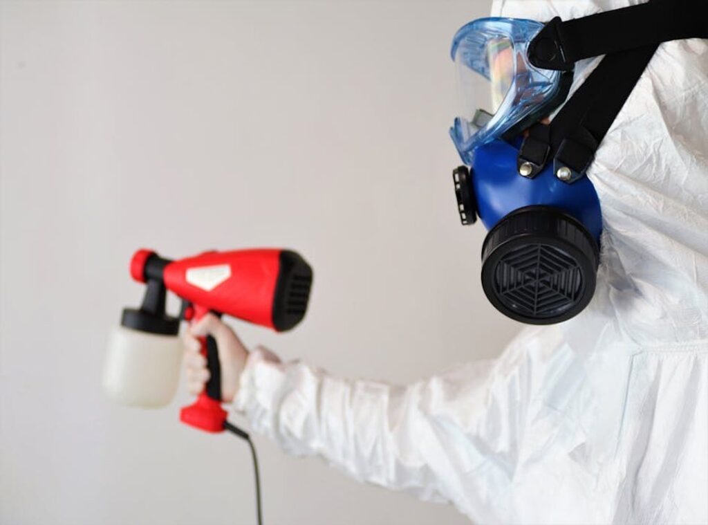 Guide for Removing Mold Livpristhome