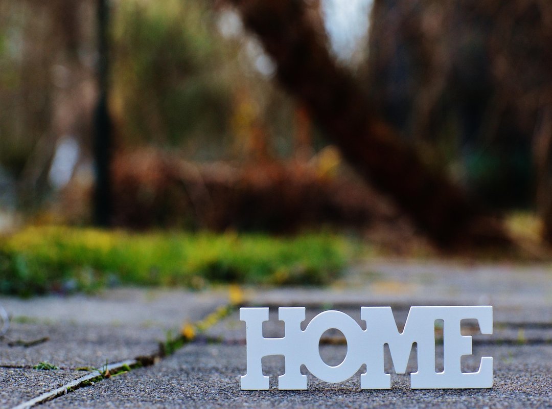 Home Improvement Mintpaldecor