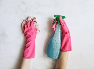 House Cleaning Guide Livpristhome