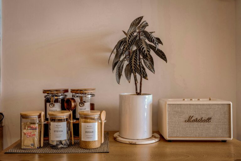 Aesthetic indoor setup with coffee jars, potted plant, and retro speaker.