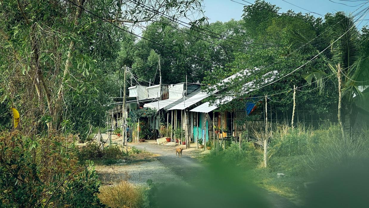 sustainable sanctuaries