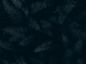 Tips Decoradyard