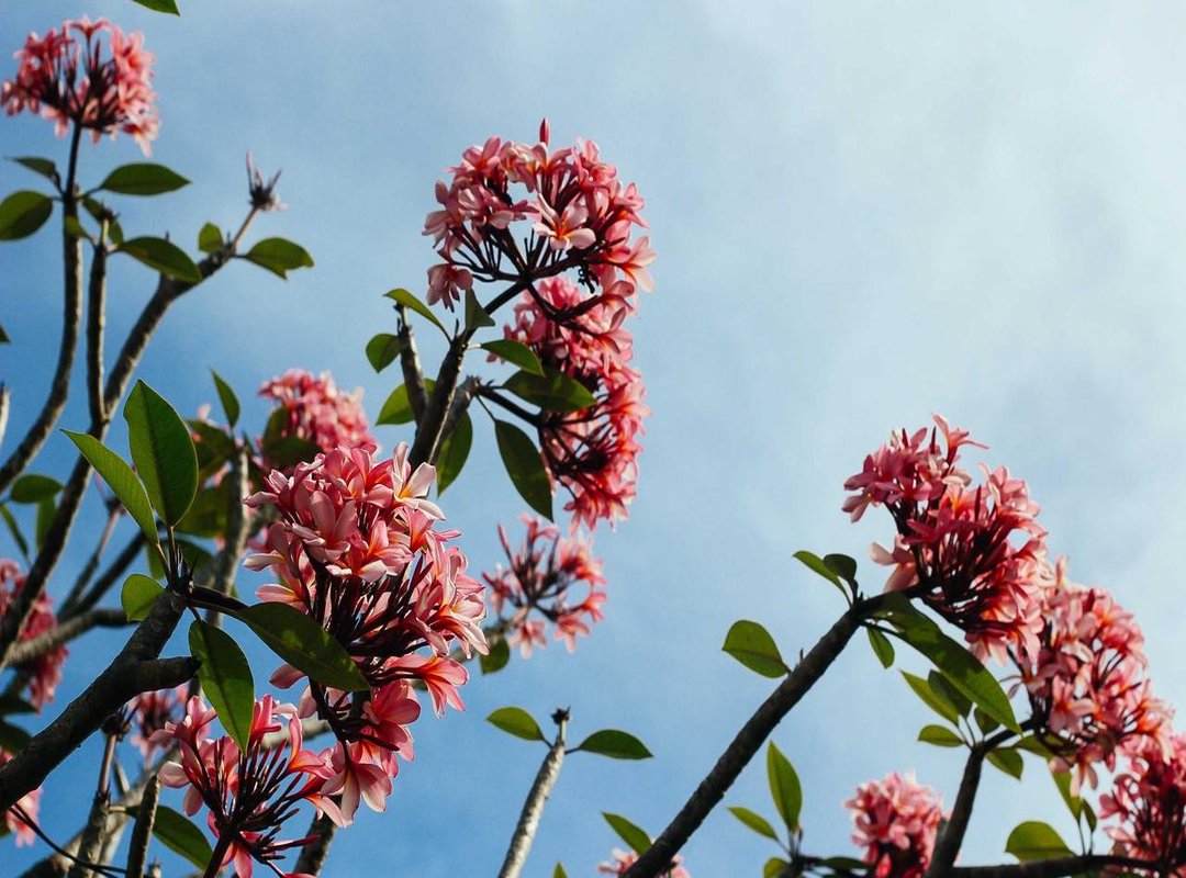 The Truth About Watching '12th Fail' on YouTube (YTS)