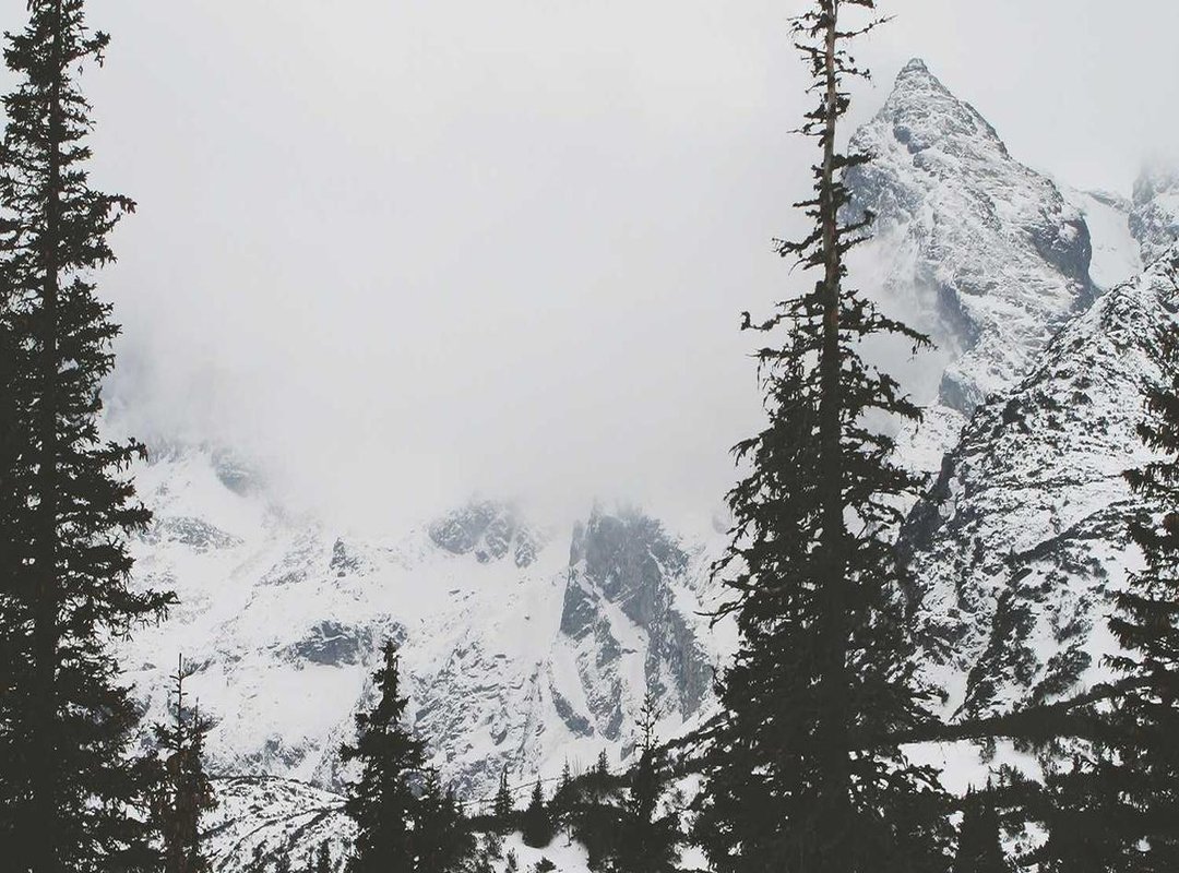 How to Start: Your First Anigliscan Project in 4 Steps