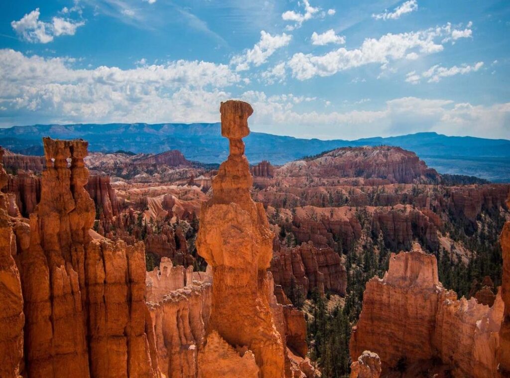 a&w support israel or palestine