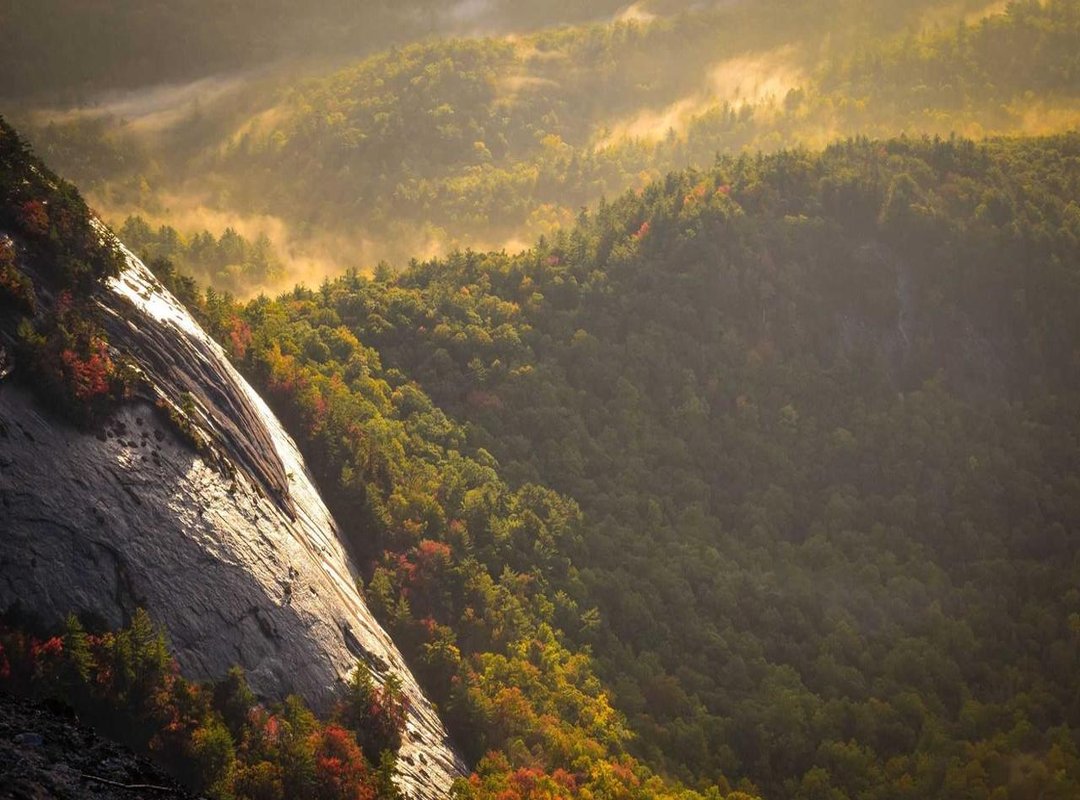 A Parent's Safety Checklist: What to Verify Before You Buy