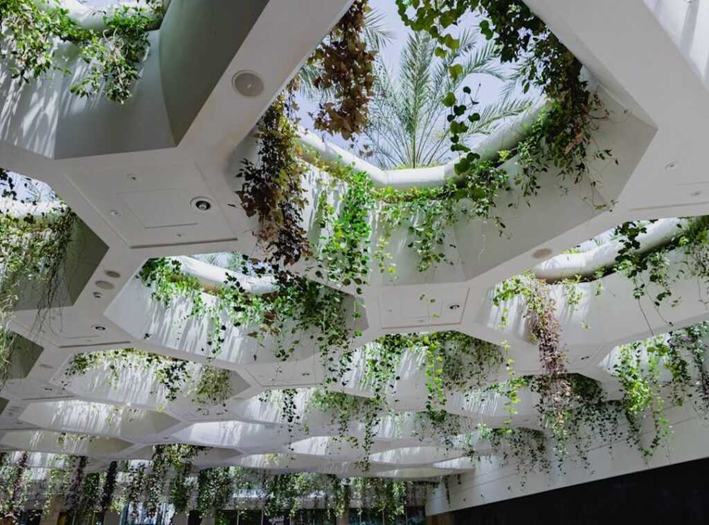 biophilic design concepts