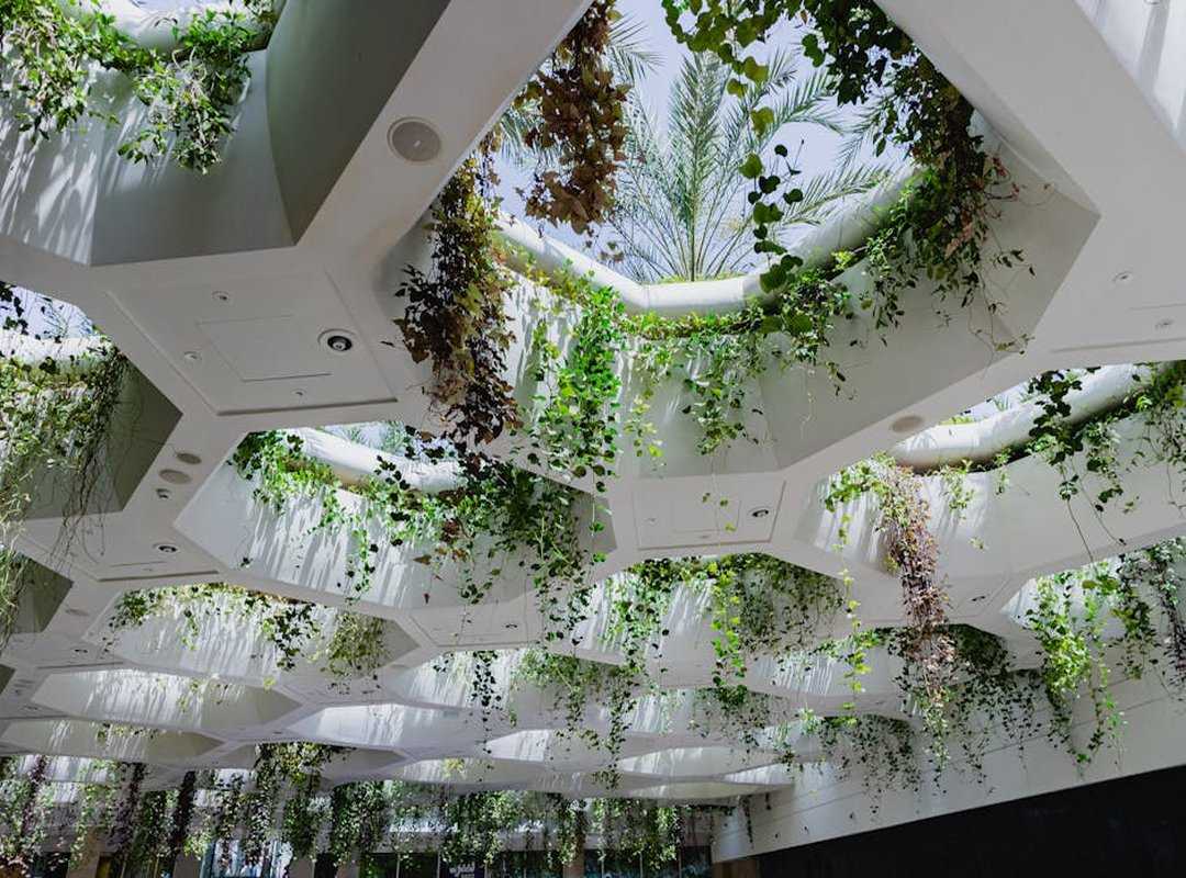 biophilic design concepts