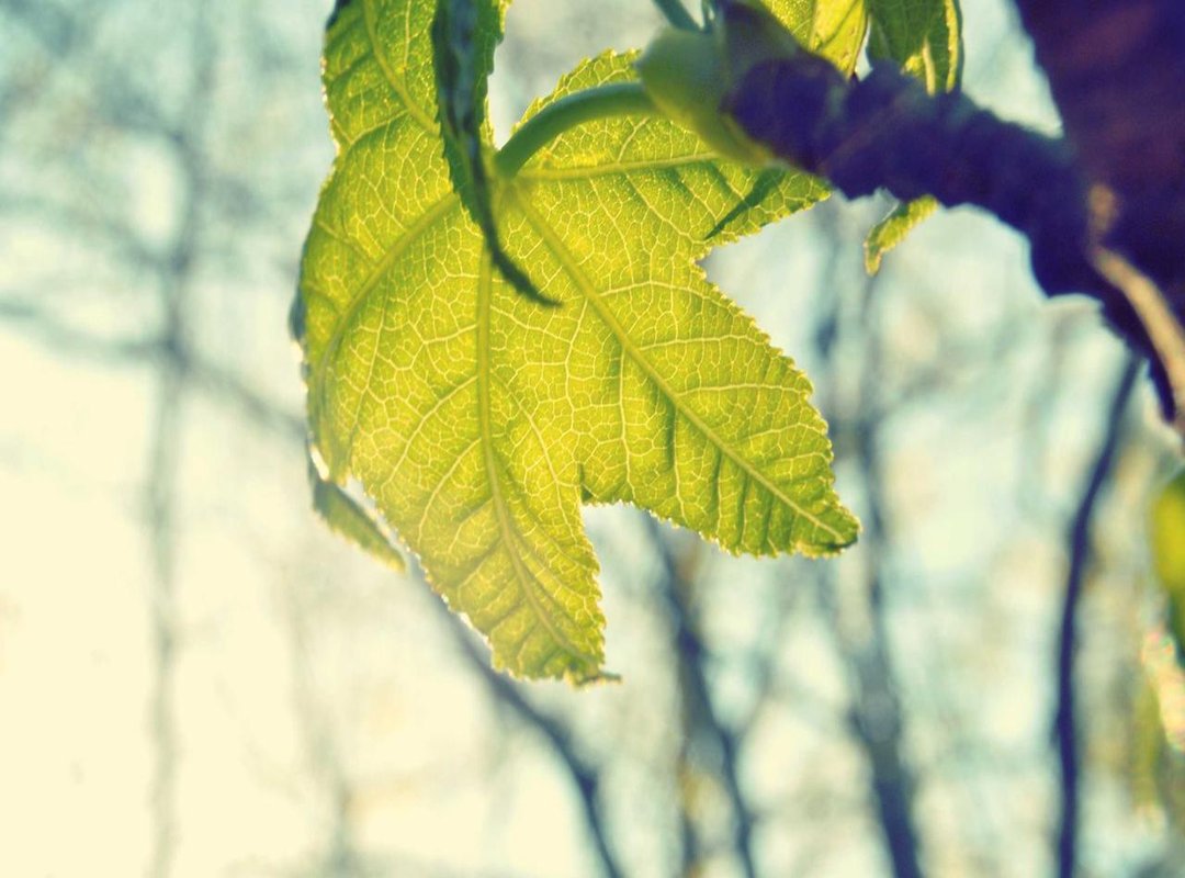 Unpacking the Clues: Themes and Foreshadowing