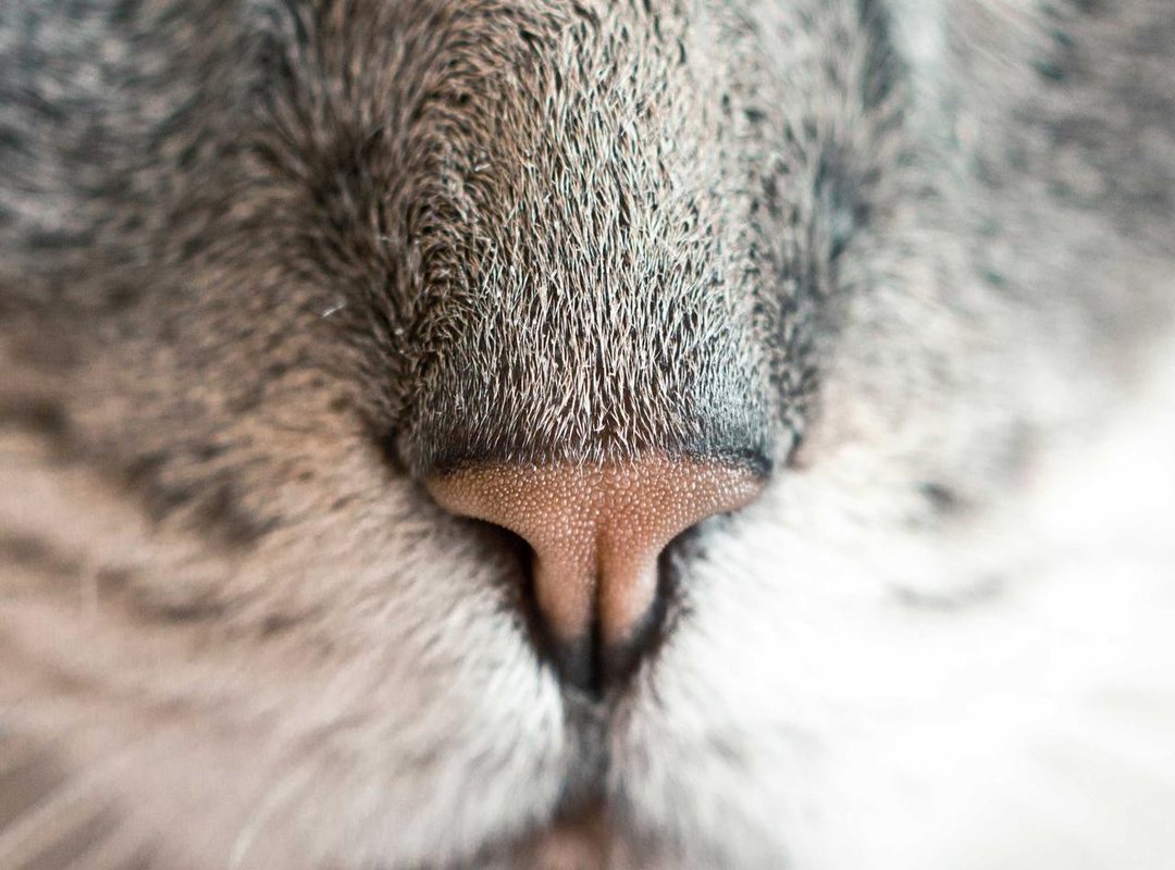 Finding Marcos Herber in 2024: Current Photos and Social Media Presence