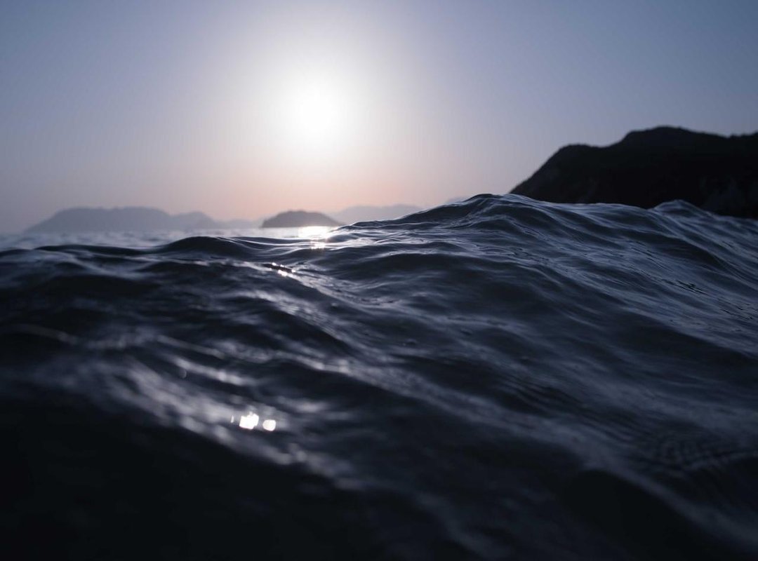 Fueling Your Fitness: Nutrition for Muscle Growth and Health