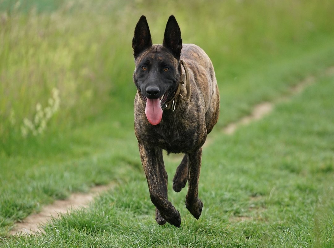 A Quick Guide to Finding and Using Malay Subtitles