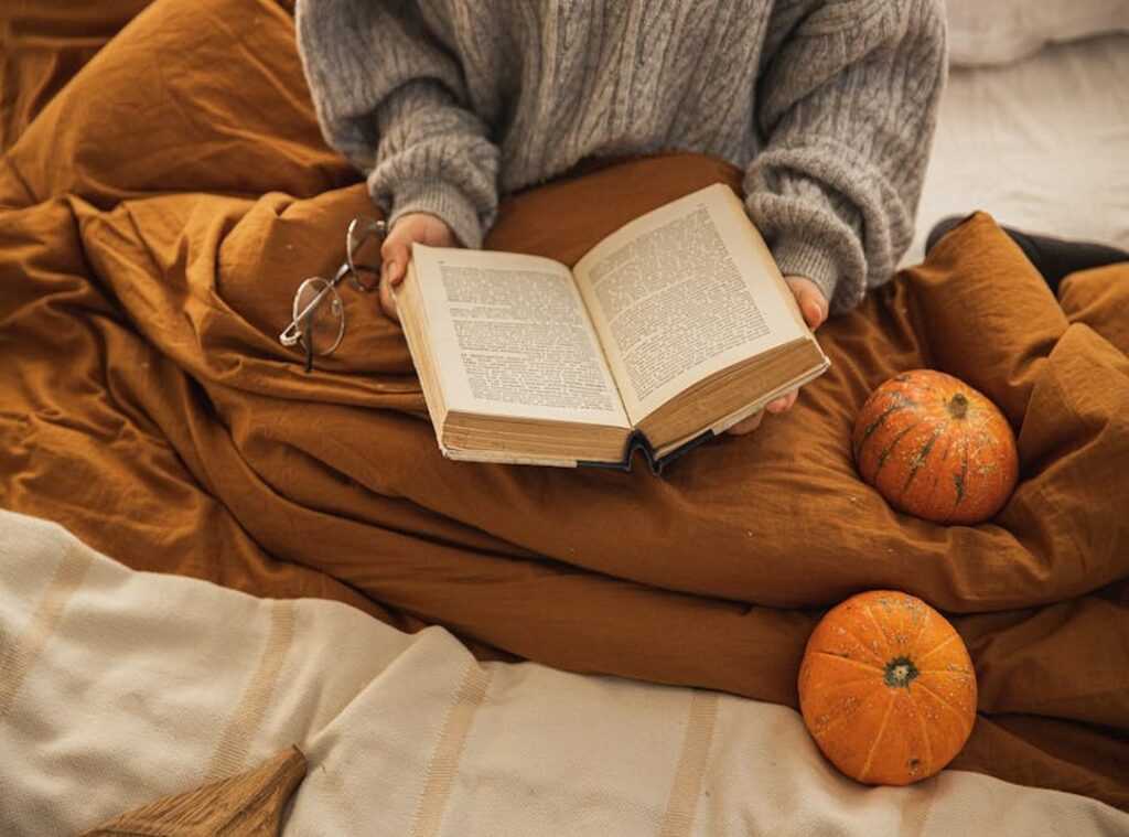 perfect reading nook