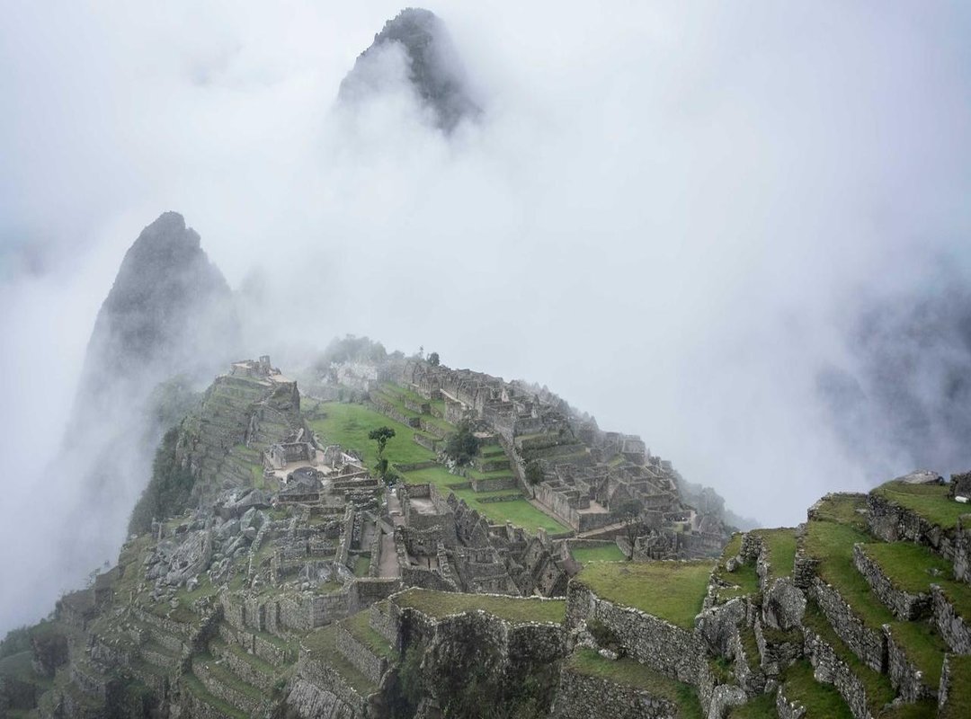 Designing Your Forearm Piece: Placement, Flow, and Layout