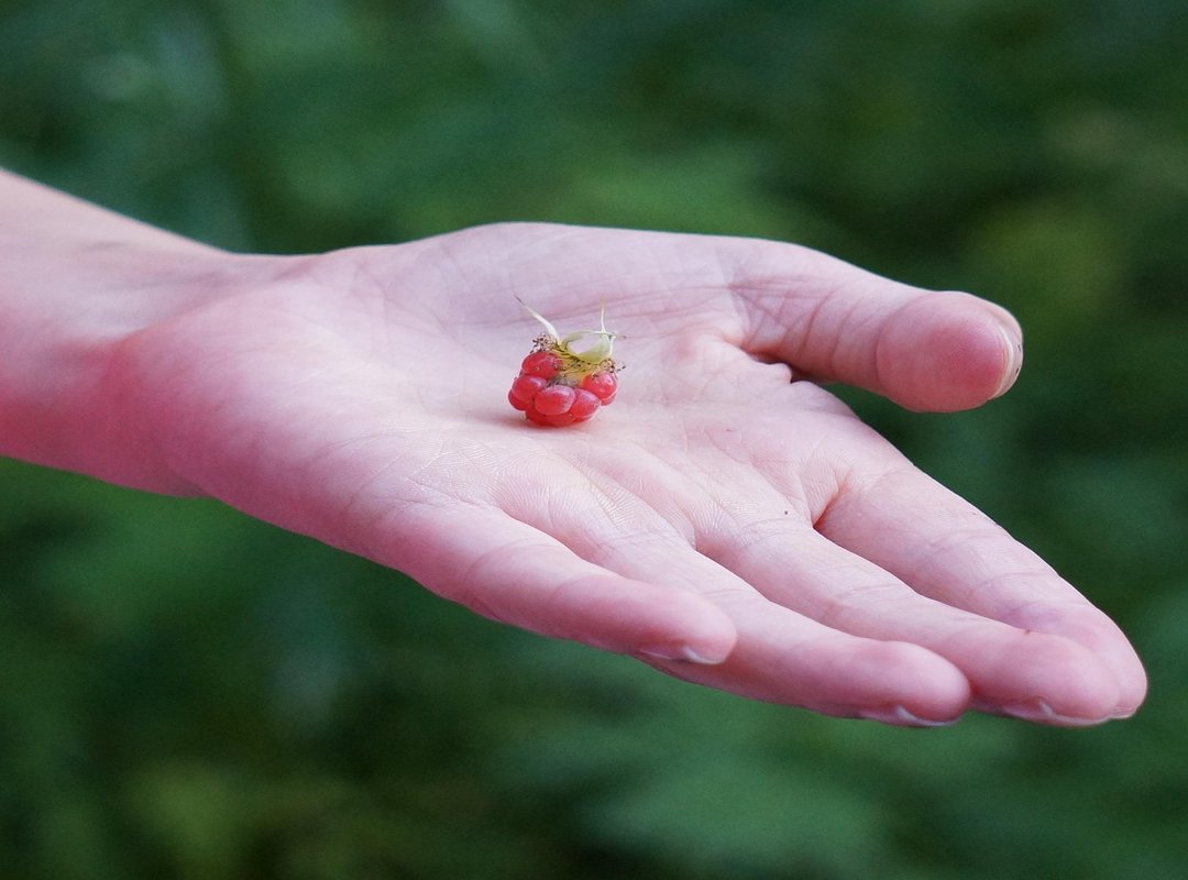 You're Now an Expert on 'Sigma' Slang