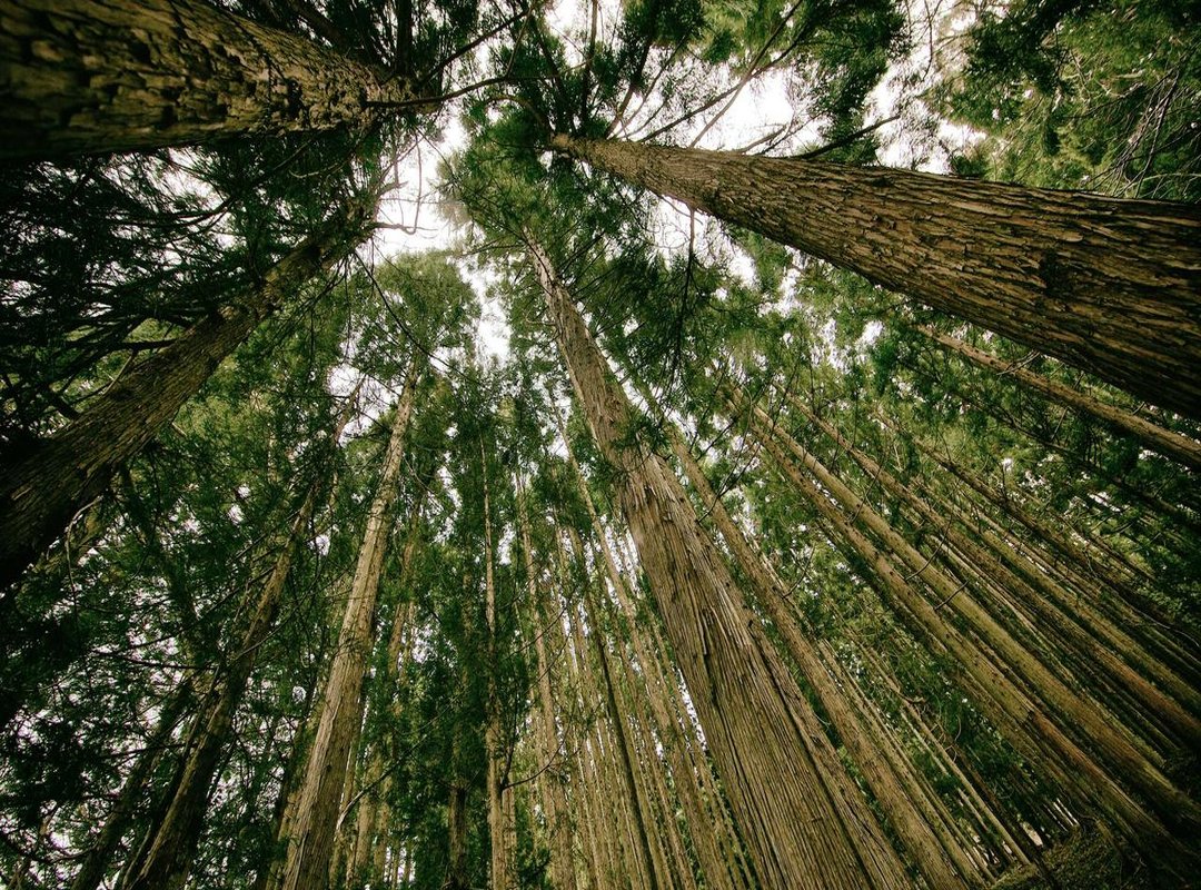 The Faces Behind the Strategy: Key Characters to Know