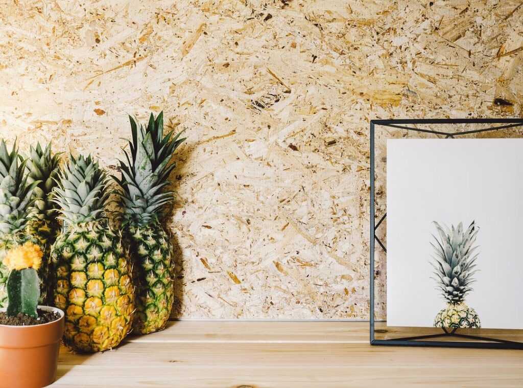 sustainable decor brands