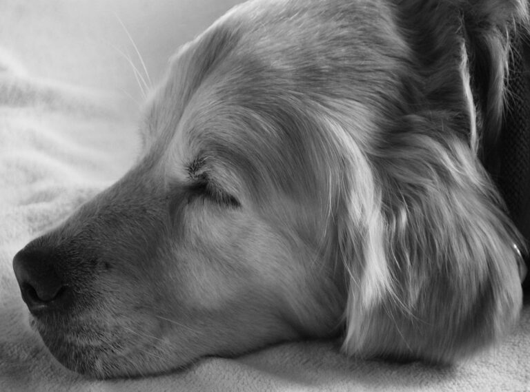 wilma salpaus, lahti